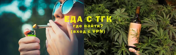гашик Вяземский
