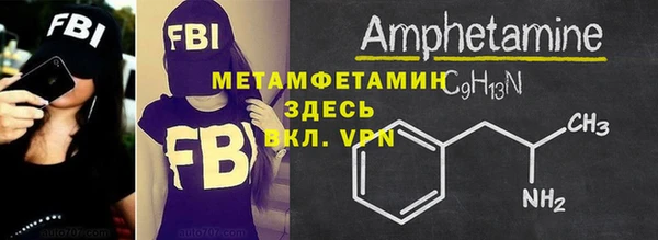 гашик Вяземский
