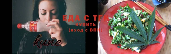 шишки Горняк