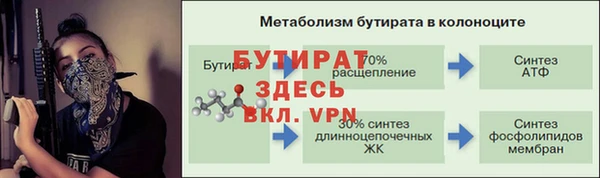 гашик Вяземский