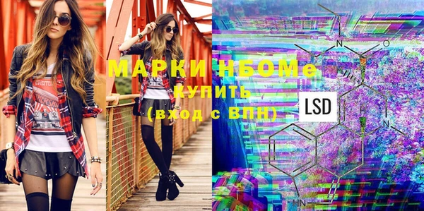шишки Горняк