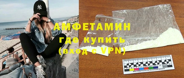 гашик Вяземский