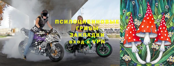 ГАЛЛЮЦИНОГЕННЫЕ ГРИБЫ Вязьма