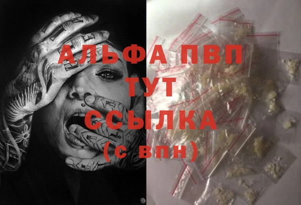 ГАЛЛЮЦИНОГЕННЫЕ ГРИБЫ Вязьма