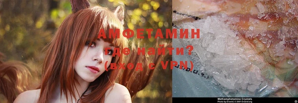 гашик Вяземский